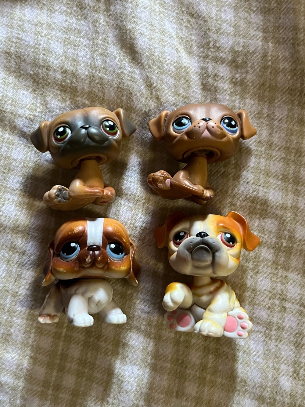 LPS dogs
